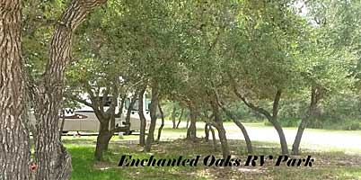 Enchanted Oaks RV Park in Rockport, TX - So Many Oak Trees!